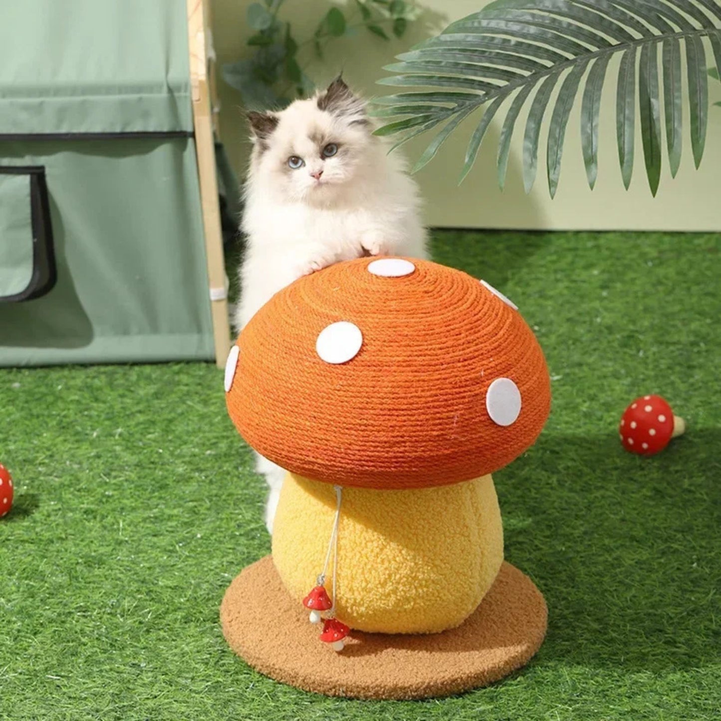 ARBRE A CHAT | Champingny™