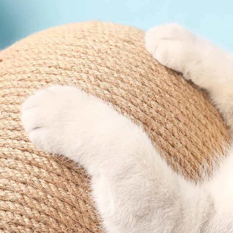 Griffoir pour chat | ScratchBall™