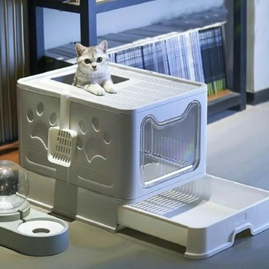 Litiere-pour-Chat-fini-les-odeurs