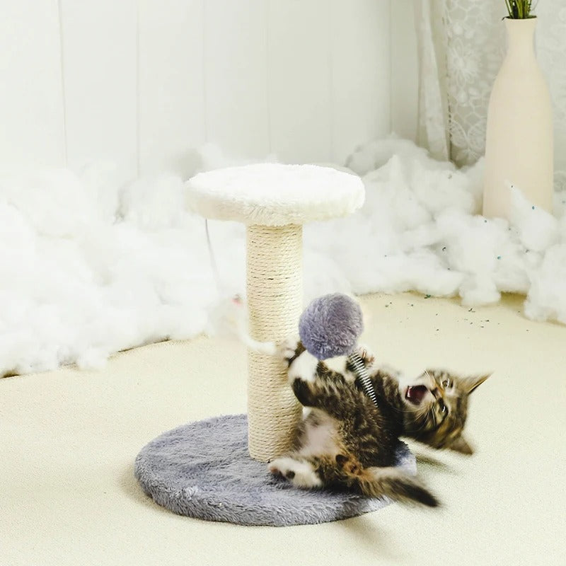 arbre-a-chat-Exercices