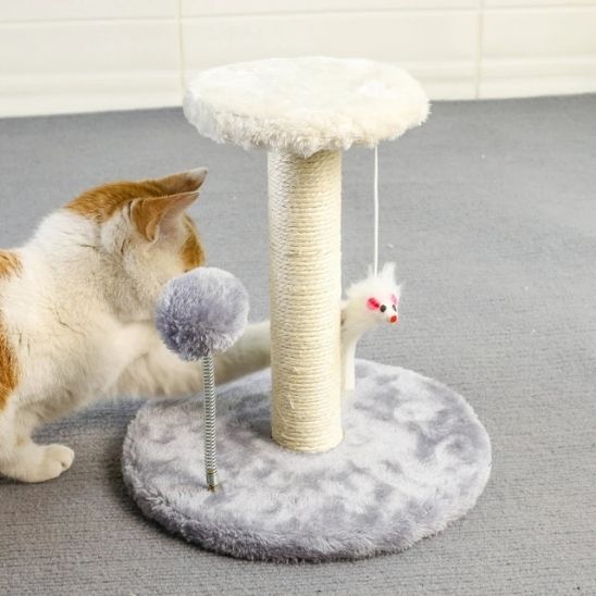 arbre-a-chat-gris