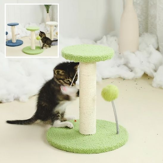 arbre-a-chat-vert