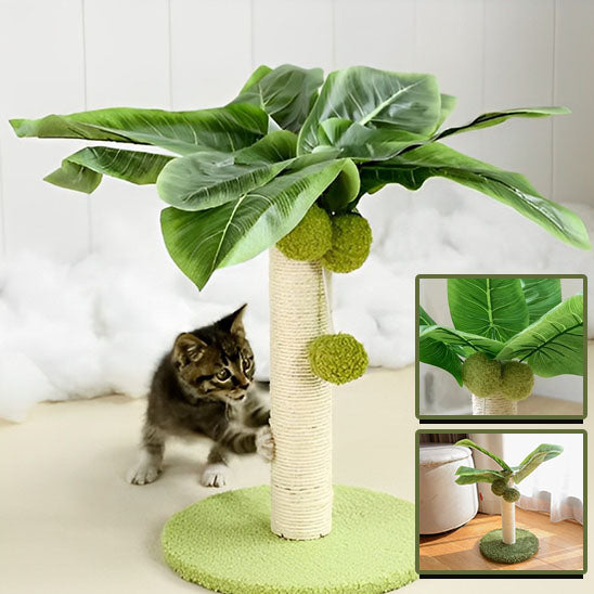 arbre-a-chat-palm-anti-stresse