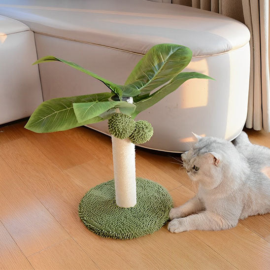arbre-a-chat-palm-griffoir