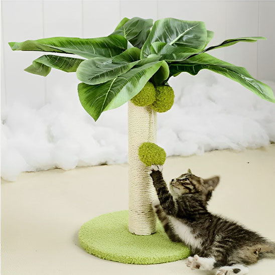 arbre-a-chat-palm-stimulation