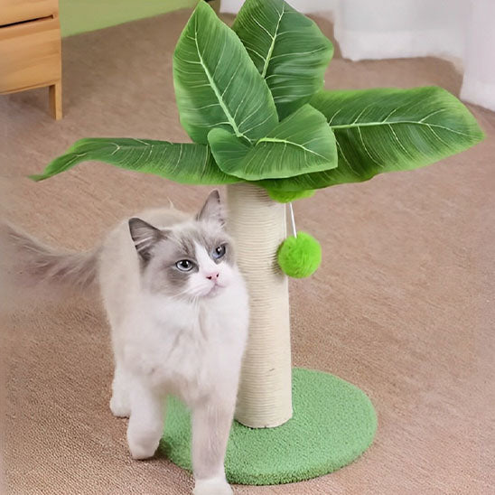 arbre-a-chat-palm-chic