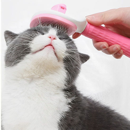 brosse-pour-chat-rose