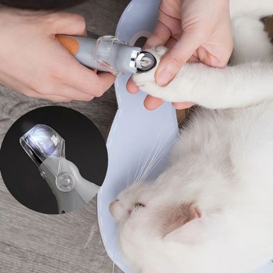 coupe-griffe-pour-chat-parfait