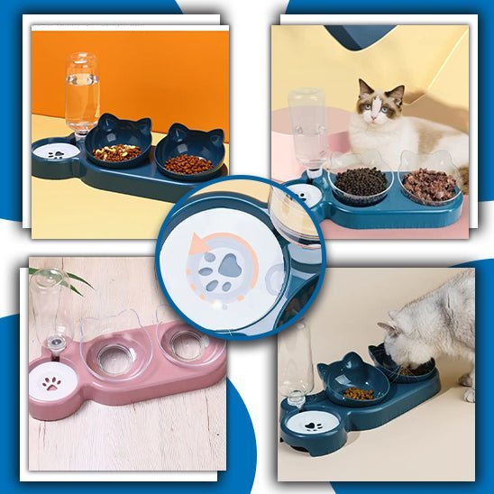 GAMELLE CHAT _ Aquafood™ Bol automatique 3 en 1 - CONFORTDEMONCHAT