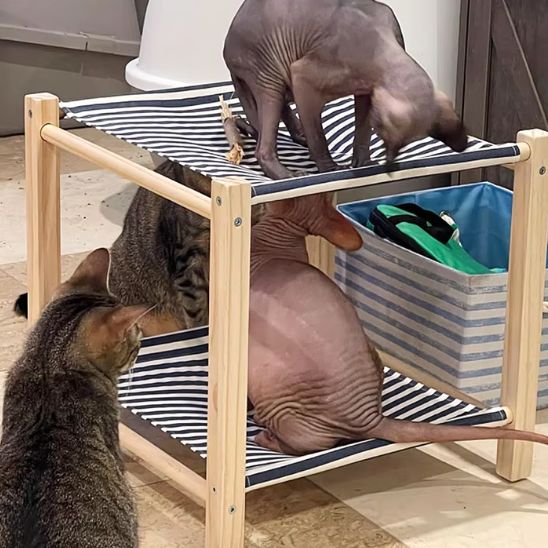 hamac-pour-chat-relaxant