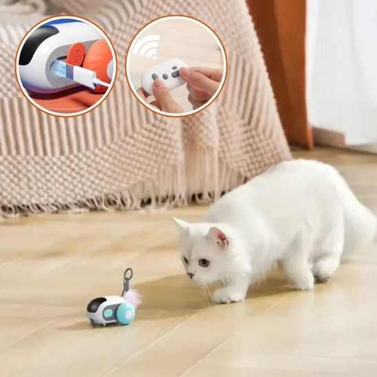 Jouiet pour chat | CatyMouse™