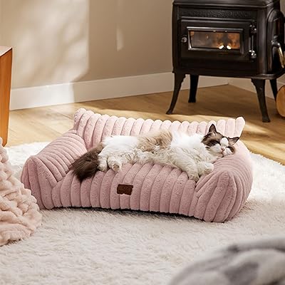 lit-pour-chat