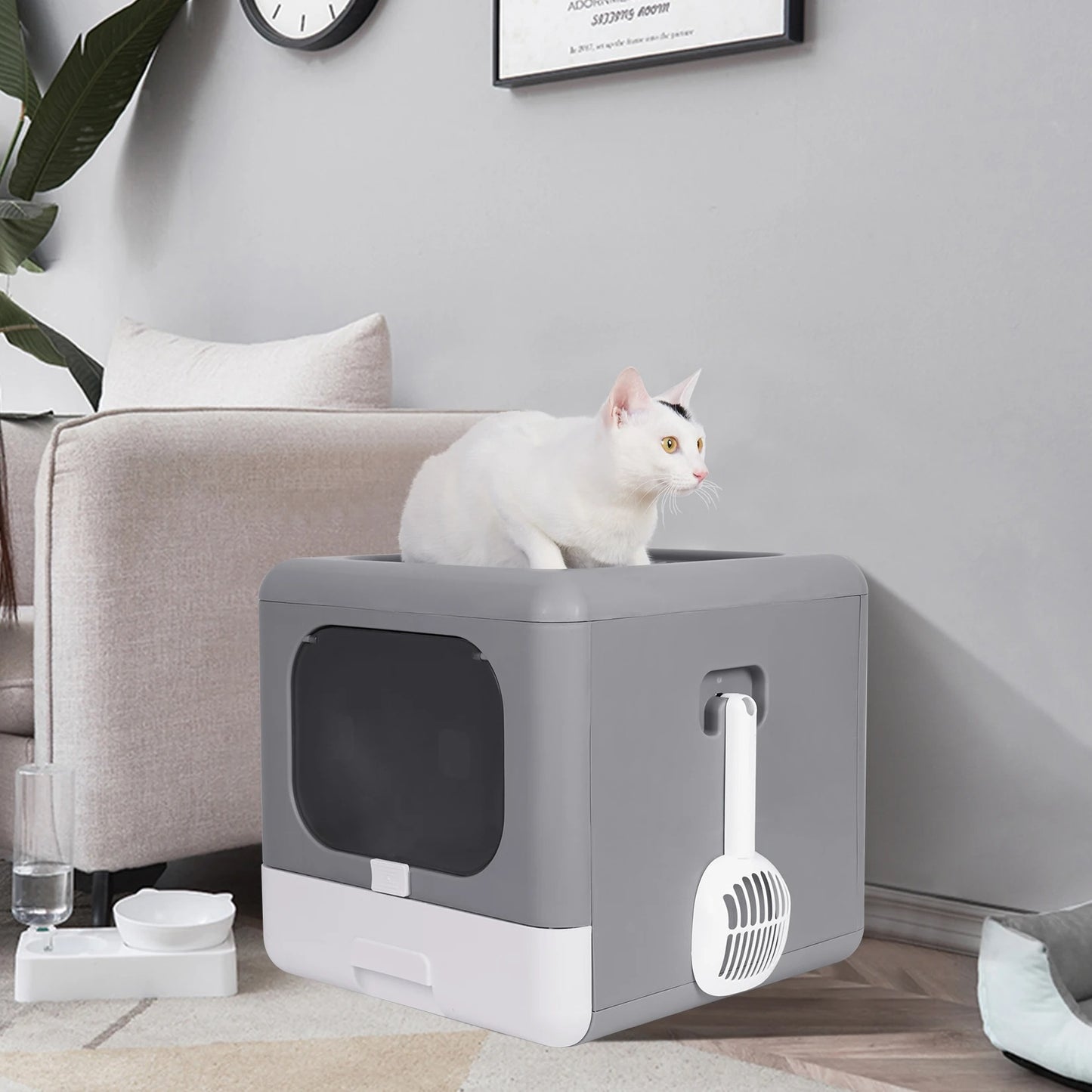 litiere-pour-chat-boxycat-chic