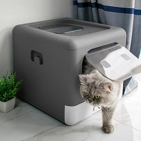 ltiere-pour-chat-gris-boxycat