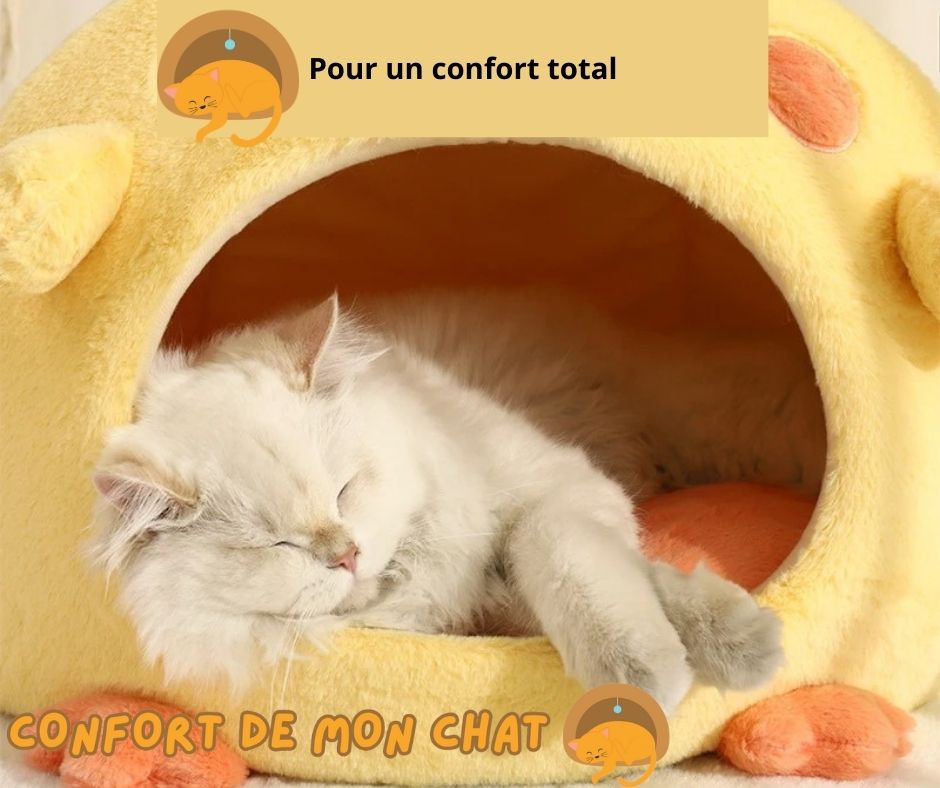 Maison Chat - Confort totale pour votre félin