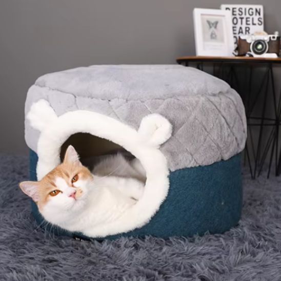 niche-chat-grotte