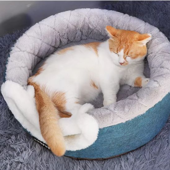 niche-chat-relaxante