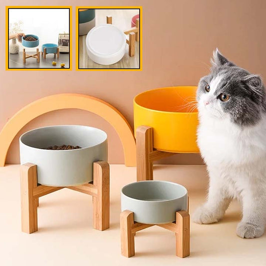 Comment choisir une gamelle pour mon chat
