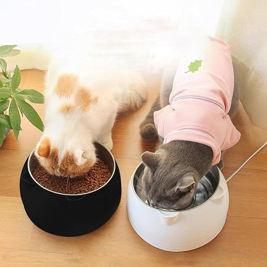 Gamelle pour chat | CatyEat™ 400 ML