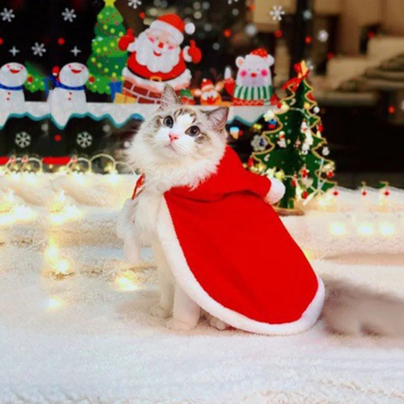 Déguisement pour chat | CatyChrismas™