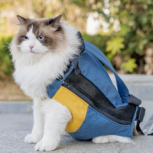 Sac de transport chat | CatCarry™