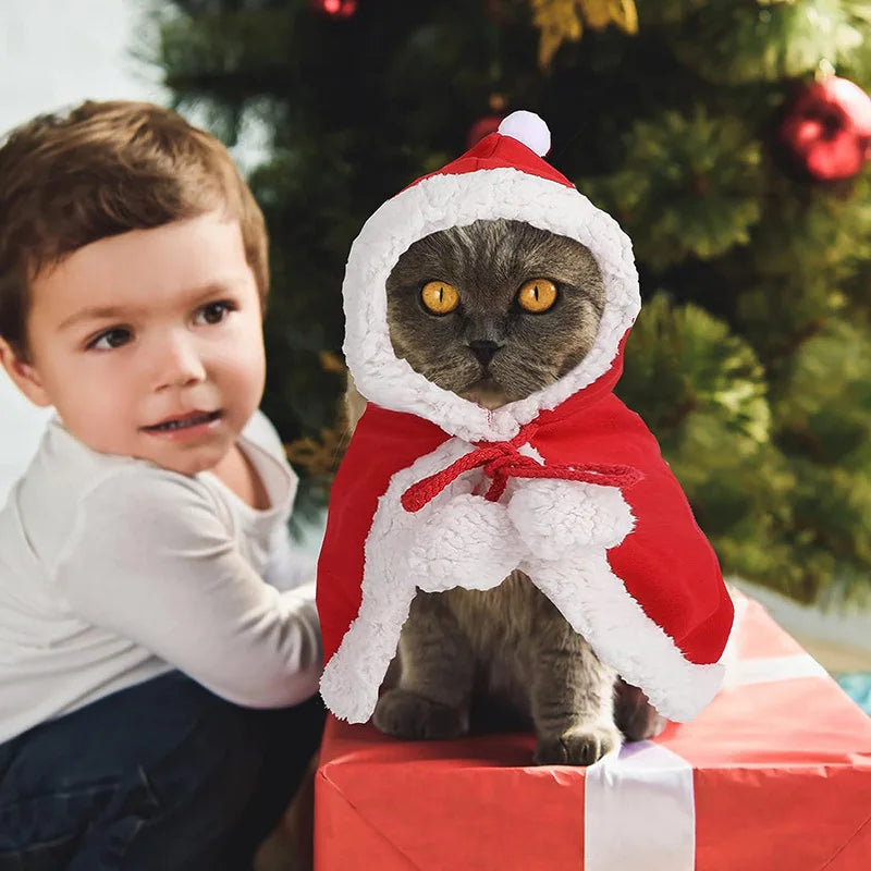 Déguisement pour chat | CatyChrismas™