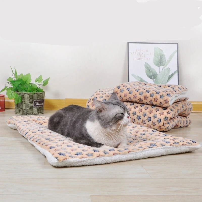 Tapis Rafraichissant Chat| Câlin™