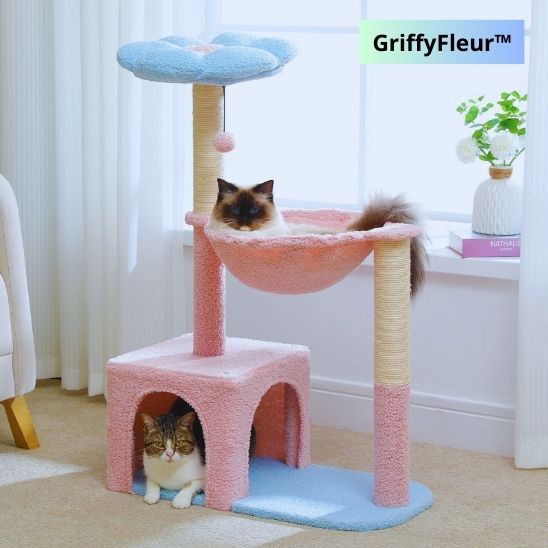 ARBRE A CHAT | GriffyFleur™