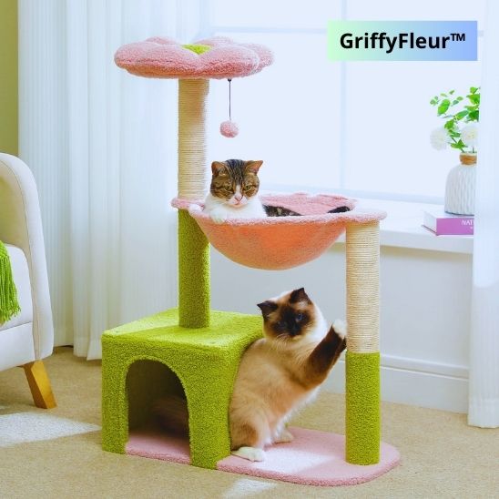 ARBRE A CHAT | GriffyFleur™