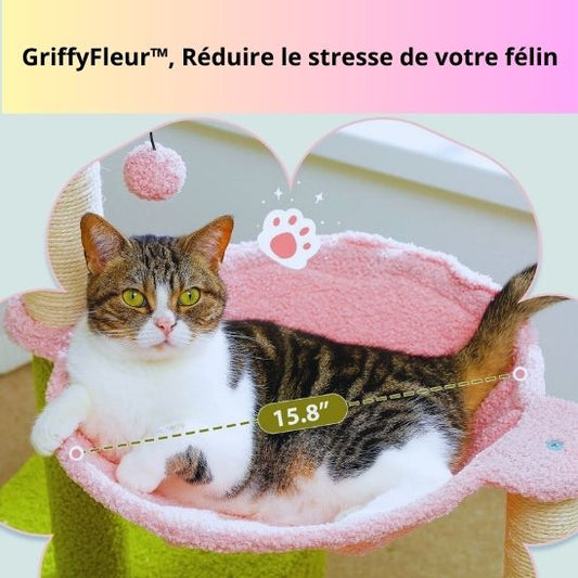 ARBRE A CHAT | GriffyFleur™