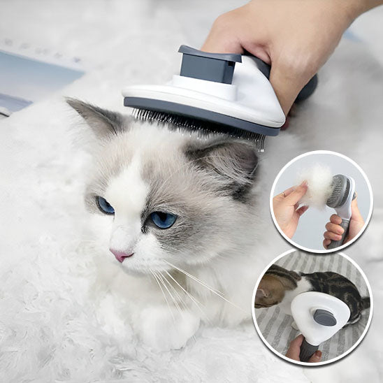 Brosse pour chat | MassyBrosse™