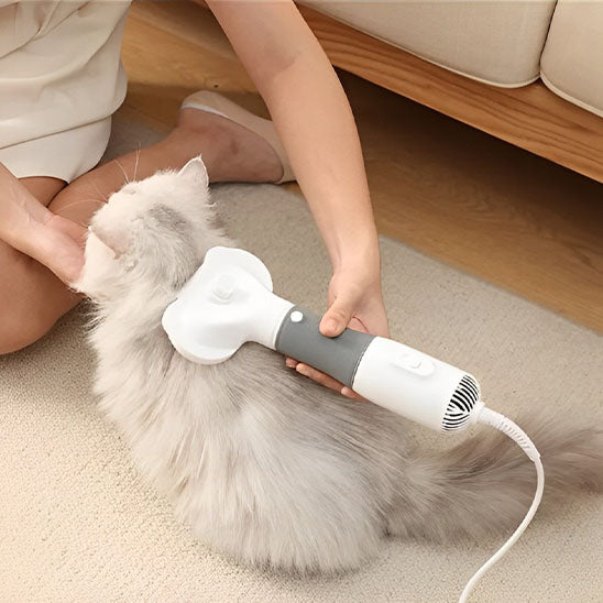 Brosse pour chat | ÉpilyBrosse™