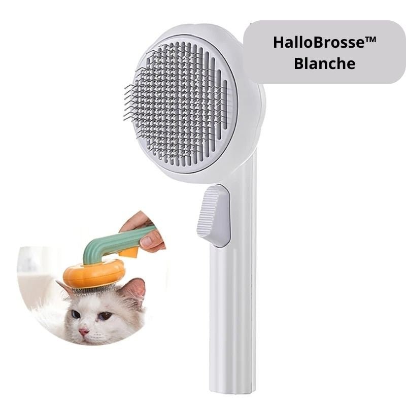 Brosse pour chat - HalloBrosse™ - CONFORTDEMONCHAT