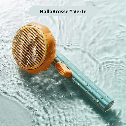 Brosse pour chat - HalloBrosse™ - CONFORTDEMONCHAT