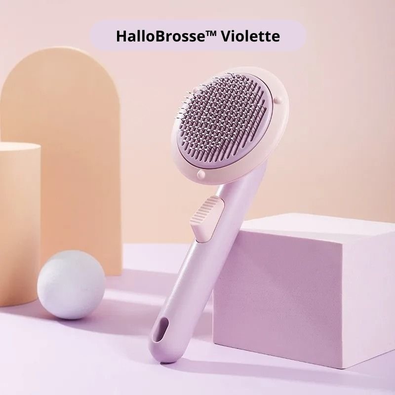 Brosse pour chat - HalloBrosse™ - CONFORTDEMONCHAT