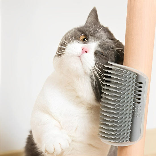 Brosse pour chat | CatyScratch™