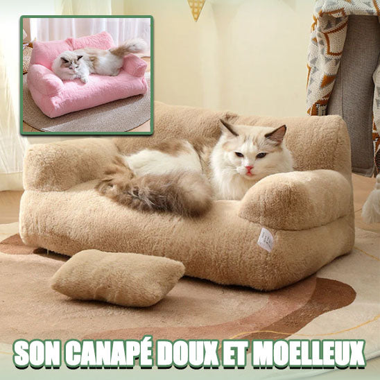 Canapé pour chat - Canapy™