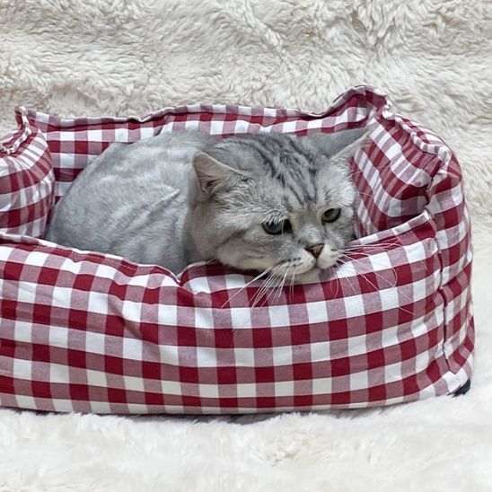 Canapé pour chat-Sofa™