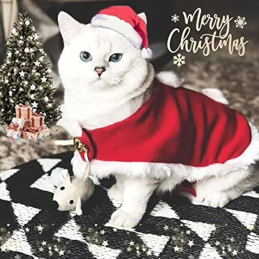 Déguisement pour chat | CatyChrismas™