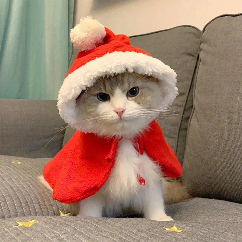 Déguisement pour chat | CatyChrismas™