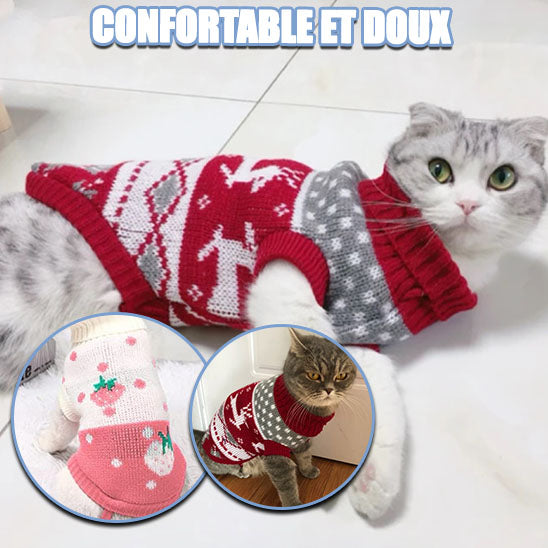 Pull pour chat | CatyCute™