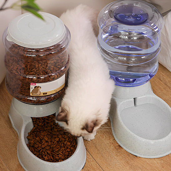 Distributeur croquettes pour chat |  CatyDispenser™