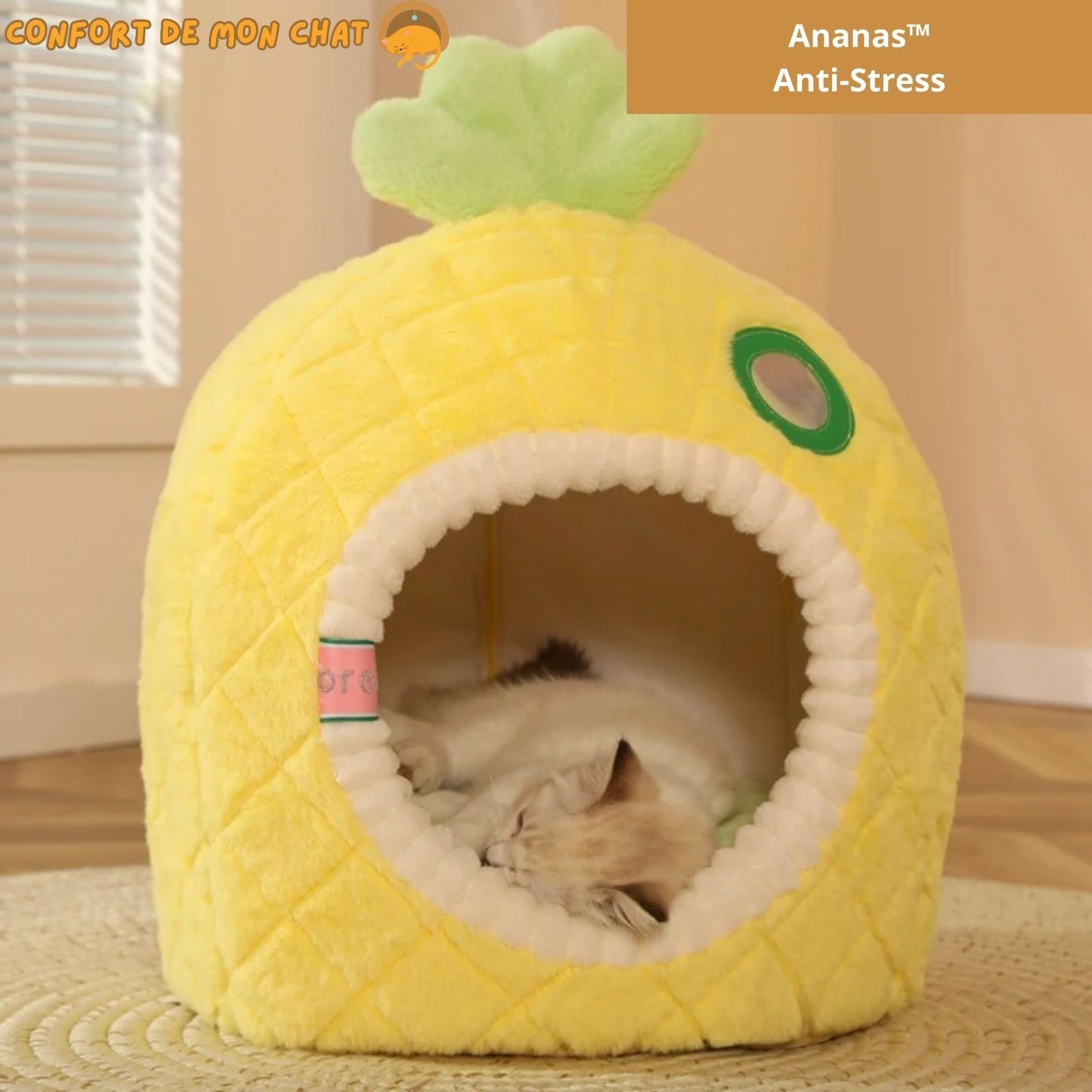 Panier chat-Ananas™