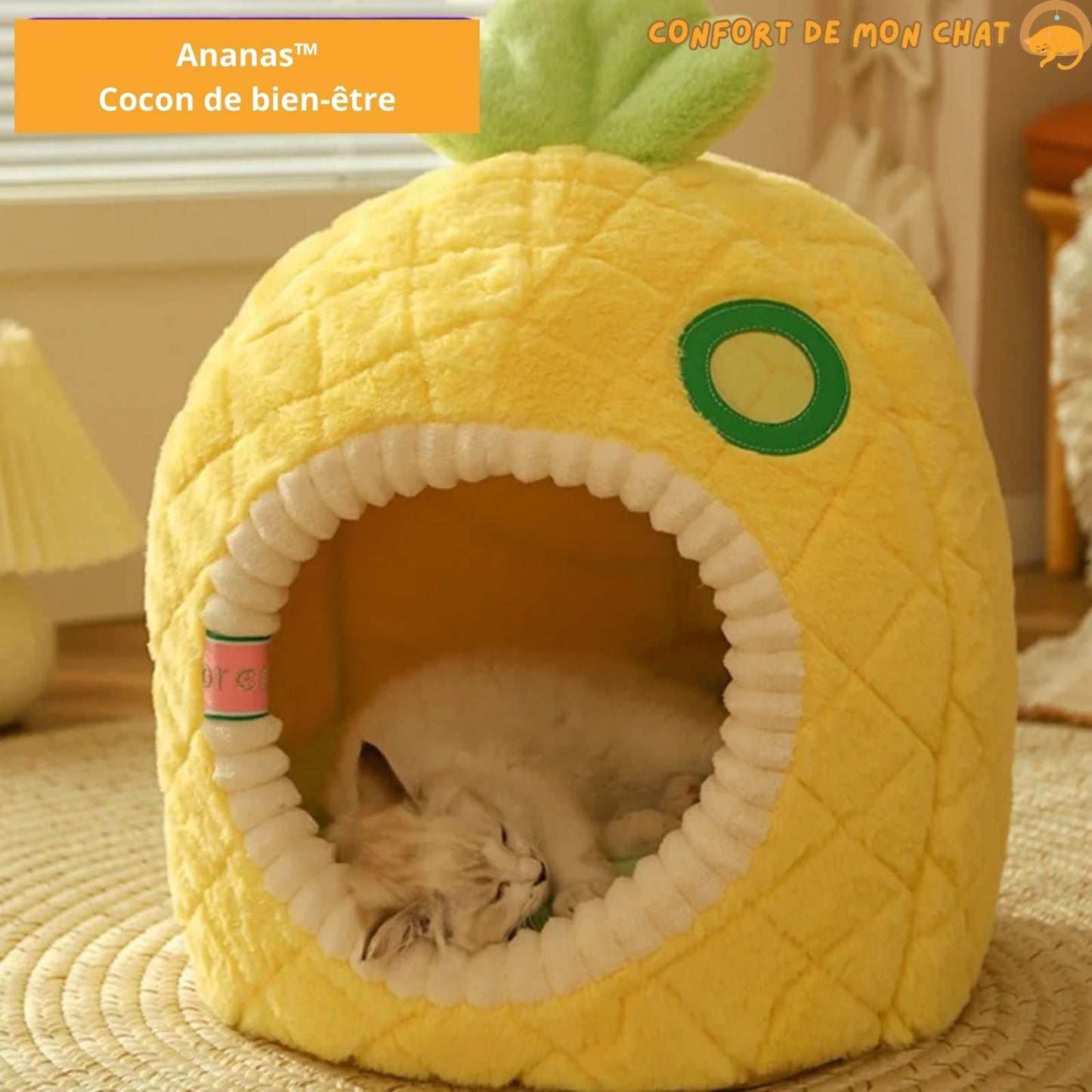 Panier chat-Ananas™