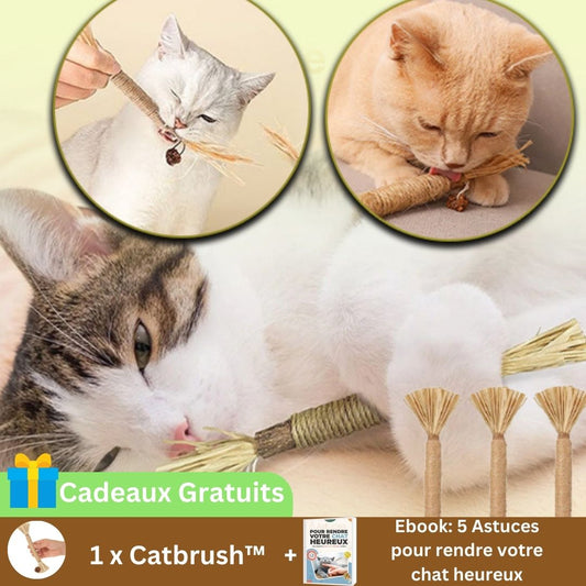 Catbrush™ Baton à mâcher - CONFORTDEMONCHAT